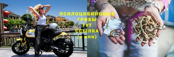 PSILOCYBIN Алексеевка