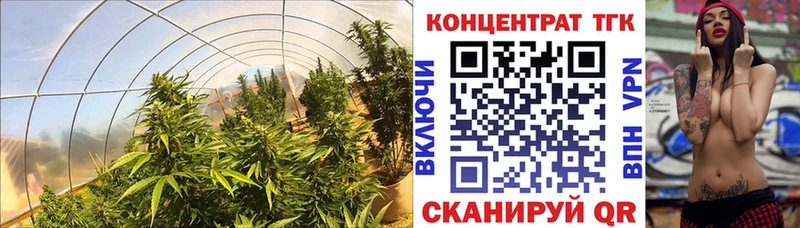 дарк нет какой сайт Гуково ТГК концентрат