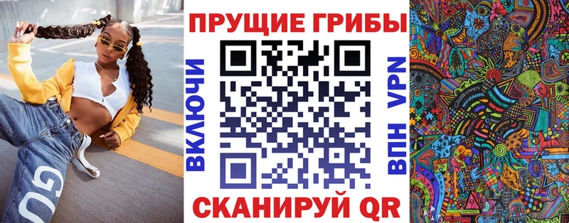 купить  цена  Гуково  KRAKEN зеркало  Галлюциногенные грибы Psilocybe 