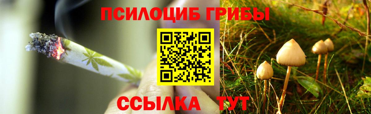 Гуково  Псилоцибиновые грибы прущие грибы  Вход с VPN 